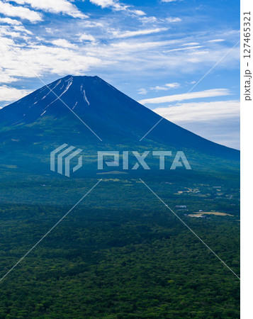 山梨百名山・竜ヶ岳から見る富士山と新緑の絶景 山梨百名山・竜ヶ岳から見る富士山と新緑の絶景 127465321