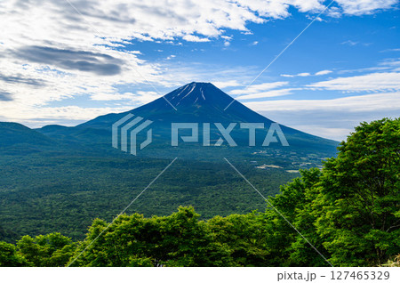 山梨百名山・竜ヶ岳から見る富士山と新緑の絶景 山梨百名山・竜ヶ岳から見る富士山と新緑の絶景 127465329