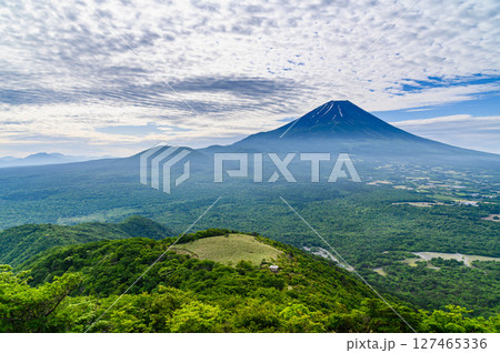 山梨百名山・竜ヶ岳から見る富士山と新緑の絶景 山梨百名山・竜ヶ岳から見る富士山と新緑の絶景 127465336