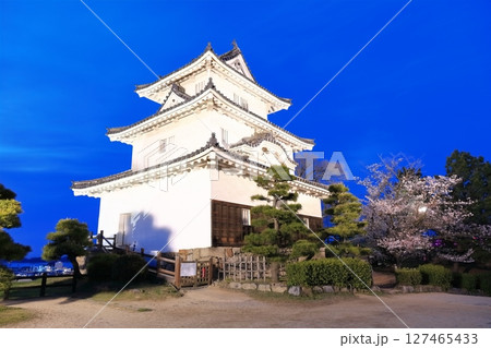 【香川県】桜咲く春の丸亀城(ライトアップされた丸亀城と夜桜)石垣の名城 【香川県】桜咲く春の丸亀城(ライトアップされた丸亀城と夜桜)石垣の名城 127465433
