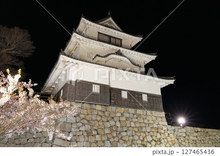 【香川県】桜咲く春の丸亀城（ライトアップされた丸亀城と夜桜）石垣の名城 127465436