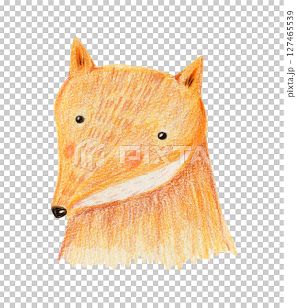 Cute crayon pencil hand drawing orange fox head with pink cheeks illustration. Hand painting animal textured portrait for birthday greeting card design, nursery poster, invitation, sticker 127465539
