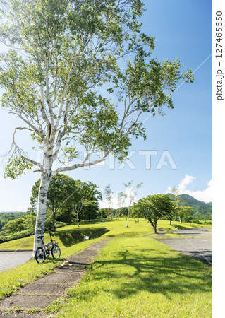 白樺の木と自転車(蒜山高原) 白樺の木と自転車(蒜山高原) 127465550