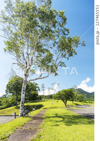 白樺の木と自転車(蒜山高原) 白樺の木と自転車(蒜山高原) 127465551