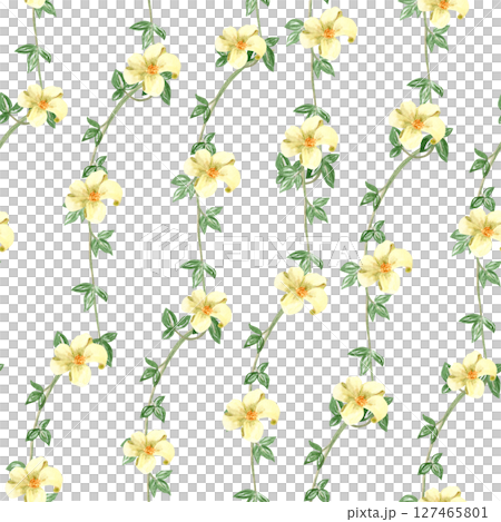 Liana branches with white flowers watercolor seamless pattern isolated on white. Hand drawn design perfect for cards, posters, botanical patterns, eco decor, tropical rainforest design. Nature clip 127465801