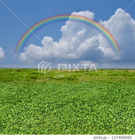 限りなく続く緑と青空、虹がかかる空想の風景 127466088