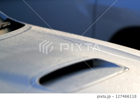 ボンネットの朝露 127466118