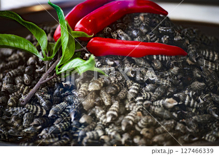 魚介類 シーフード 海の幸 127466339