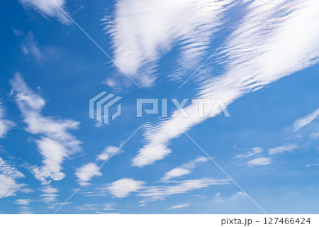 青空に散らばる波状雲　c-1 127466424
