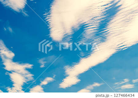 青空に散らばる波状雲 d-3 暖色加味 青空に散らばる波状雲 d-3 暖色加味 127466434