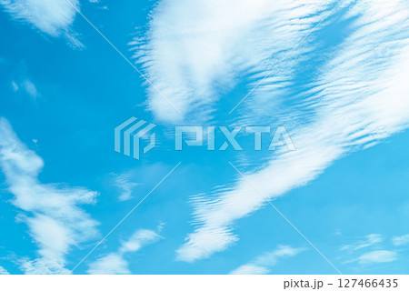 青空に散らばる波状雲 d-4 ライトカラー 青空に散らばる波状雲 d-4 ライトカラー 127466435