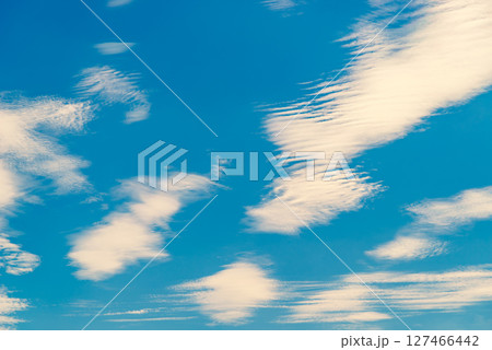 青空に散らばる波状雲　f-3 暖色加味 127466442