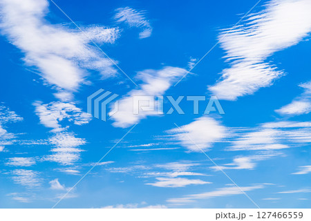 青空に散らばる波状雲 g-2 高彩度コントラスト 青空に散らばる波状雲 g-2 高彩度コントラスト 127466559
