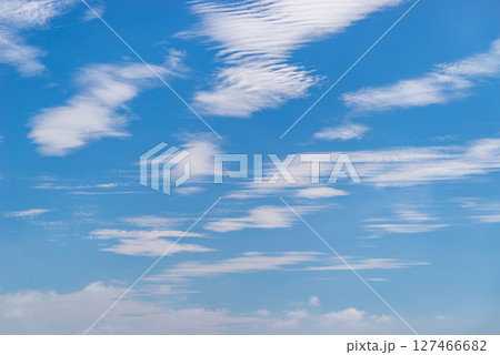 青空に散らばる波状雲 j-1 青空に散らばる波状雲 j-1 127466682