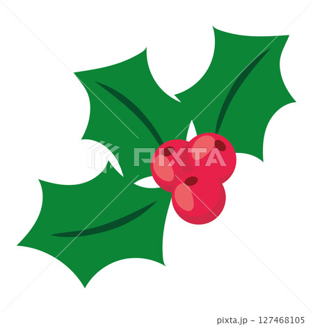 Holly branch with berries. Vector 127468105