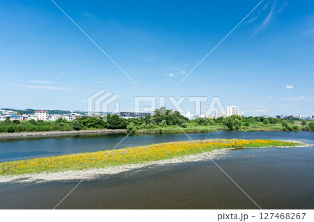 多摩水道橋から見た多摩川の風景 東京都狛江市元和泉 多摩水道橋から見た多摩川の風景 東京都狛江市元和泉 127468267