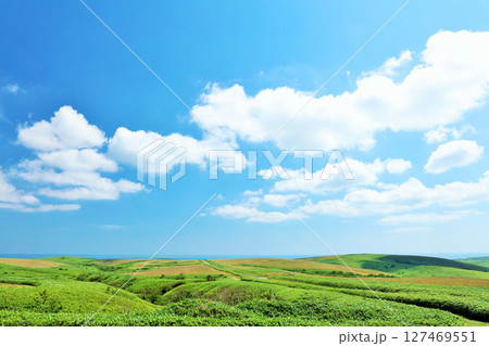 北海道 夏の青空 宗谷丘陵からの風景 北海道 夏の青空 宗谷丘陵からの風景 127469551