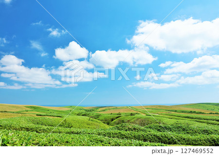 北海道　夏の青空　宗谷丘陵からの風景 127469552