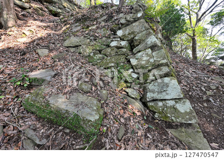 大内義長や毛利元就によって築かれた山城「高嶺城」 大内義長や毛利元就によって築かれた山城「高嶺城」 127470547