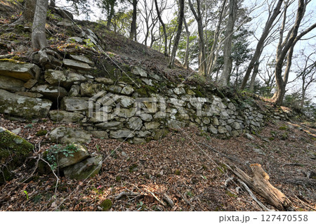 大内義長や毛利元就によって築かれた山城「高嶺城」 大内義長や毛利元就によって築かれた山城「高嶺城」 127470558