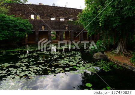 植物園の風景 熱帯ドリームセンター 植物園の風景 熱帯ドリームセンター 127470827
