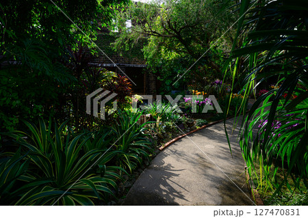植物園の風景　熱帯ドリームセンター 127470831