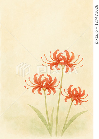 コピースペースのある水彩風の彼岸花 127471026