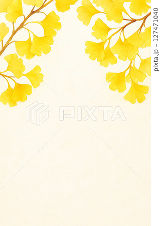 黄色いイチョウの葉 127471040