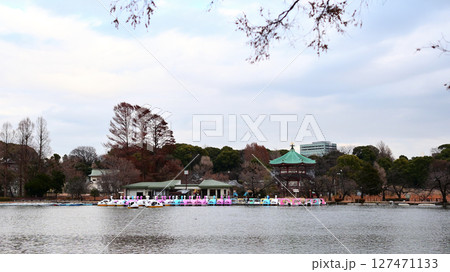 上野恩賜公園 不忍池 上野恩賜公園 不忍池 127471133