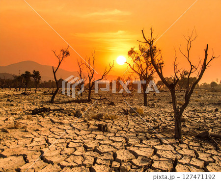 砂漠に沈む夕日 砂漠に沈む夕日 127471192