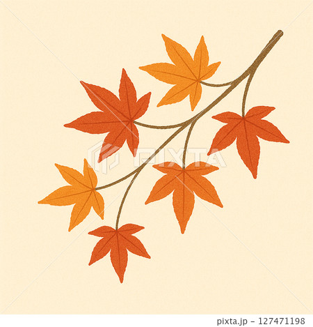 紅葉したモミジの和風イラスト 127471198