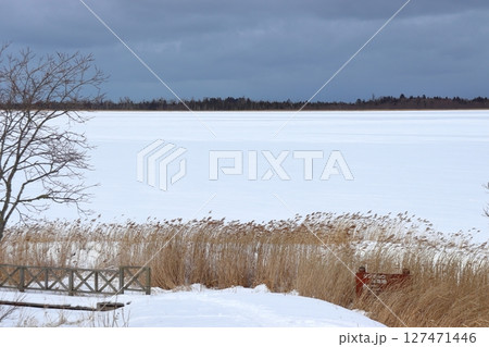 真冬の根室十景 タンチョウ生息地 白い風連湖 真冬の根室十景 タンチョウ生息地 白い風連湖 127471446