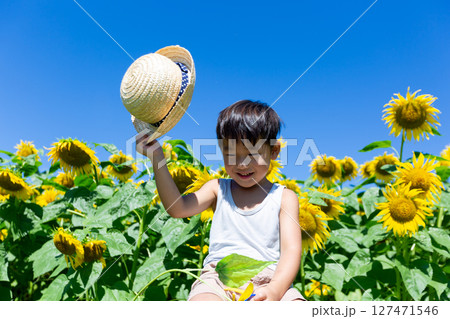 ひまわり畑で遊ぶ男の子 127471546