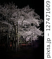 根尾谷淡墨桜 127471609