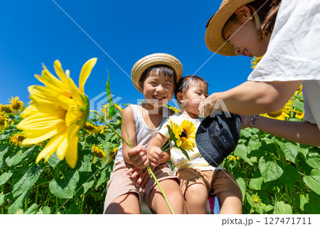 ひまわり畑で遊ぶ親子 ひまわり畑で遊ぶ親子 127471711
