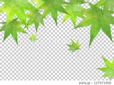 もみじ　緑　水彩　和風　イラスト 127471800
