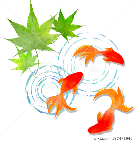 金魚　夏　水彩　和風　イラスト 127471946