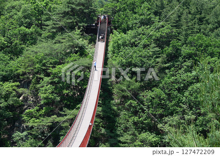 【韓国/坡州市】ソウル近郊 カマク山の赤い吊り橋 【韓国/坡州市】ソウル近郊 カマク山の赤い吊り橋 127472209