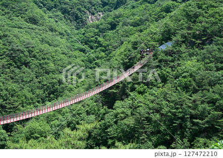 【韓国/坡州市】ソウル近郊 カマク山の赤い吊り橋 【韓国/坡州市】ソウル近郊 カマク山の赤い吊り橋 127472210