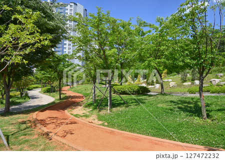 韓国の健康法・裸足で歩く黄土道（ファントギル） 127472232