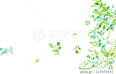 水彩画。水彩タッチの初夏草木イラスト。草木のベクターイラスト。エコ。森林。 127472541
