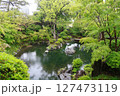 雨の庭園1 127473119
