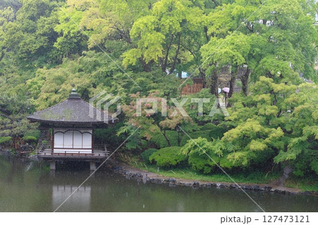 雨の庭園3 雨の庭園3 127473121