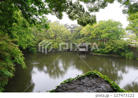 雨の庭園4 127473122