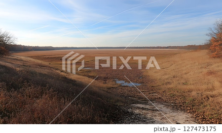 Vast Dry Grassland Landscape Under Bright Blue Sky 127473175