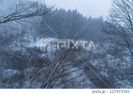 250317秋山郷の雪景色 127473385