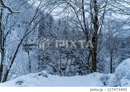 250317秋山郷の雪景色 127473400