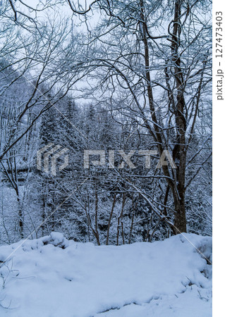 250317秋山郷の雪景色 127473403