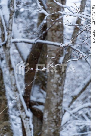 250317秋山郷の雪景色 127473405