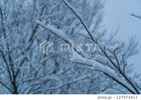 250317秋山郷の雪景色 127473411